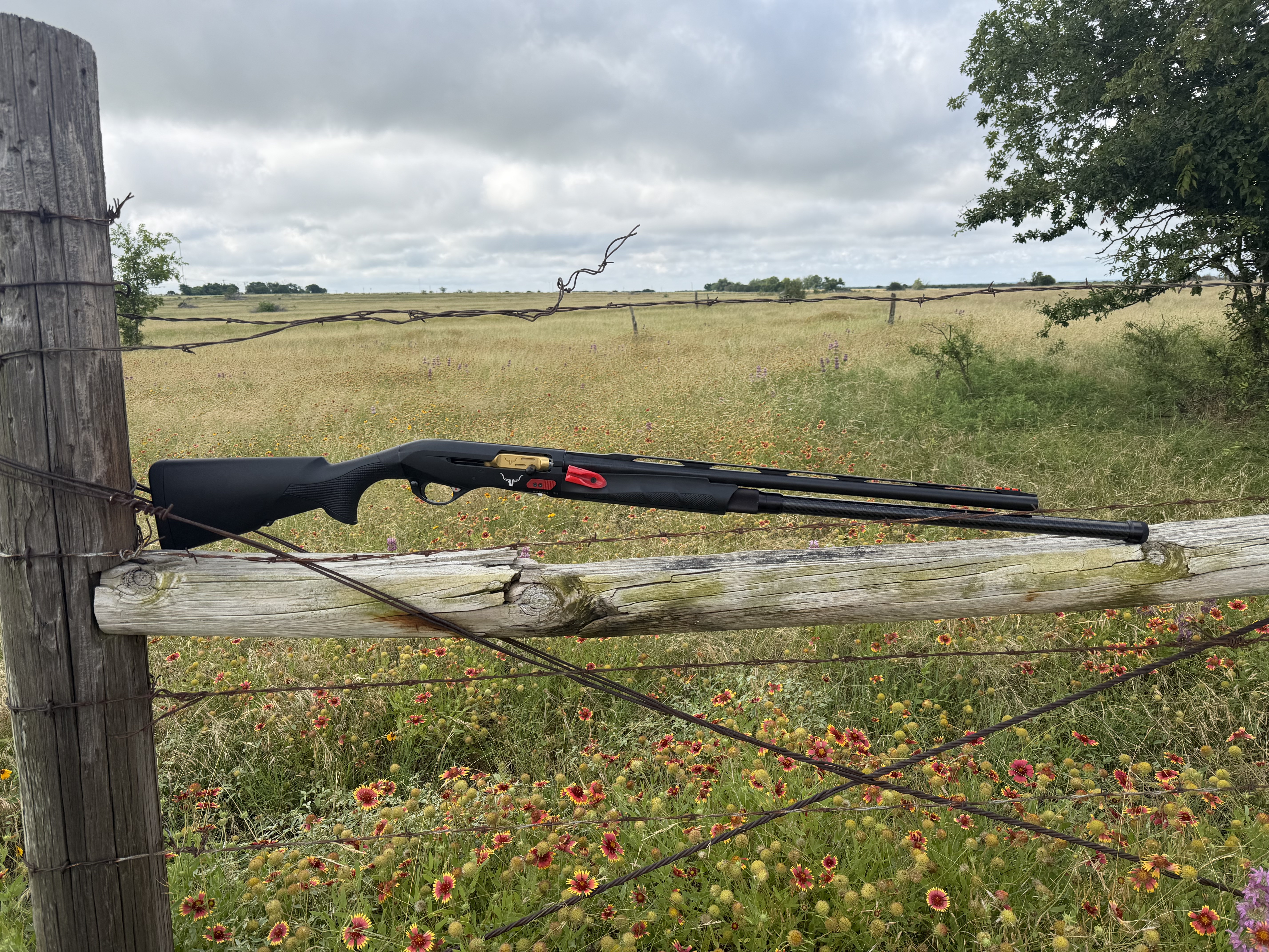 2023+ Benelli M2 with Competition package - Image 3